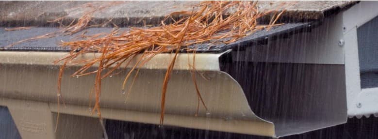 Best Gutter Guards for Pine Needles, Heavy Rain & Ice-Prone Roofs